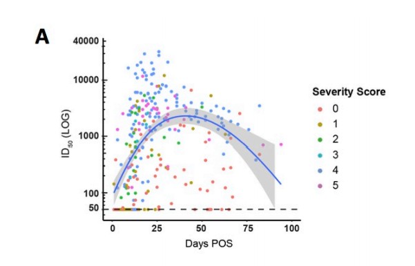 A curva descendente mostra a quantidade de detectados no organismo dos pacientes recuperados;  os pontos coloridos selecione o grau de gravidade da infecção.