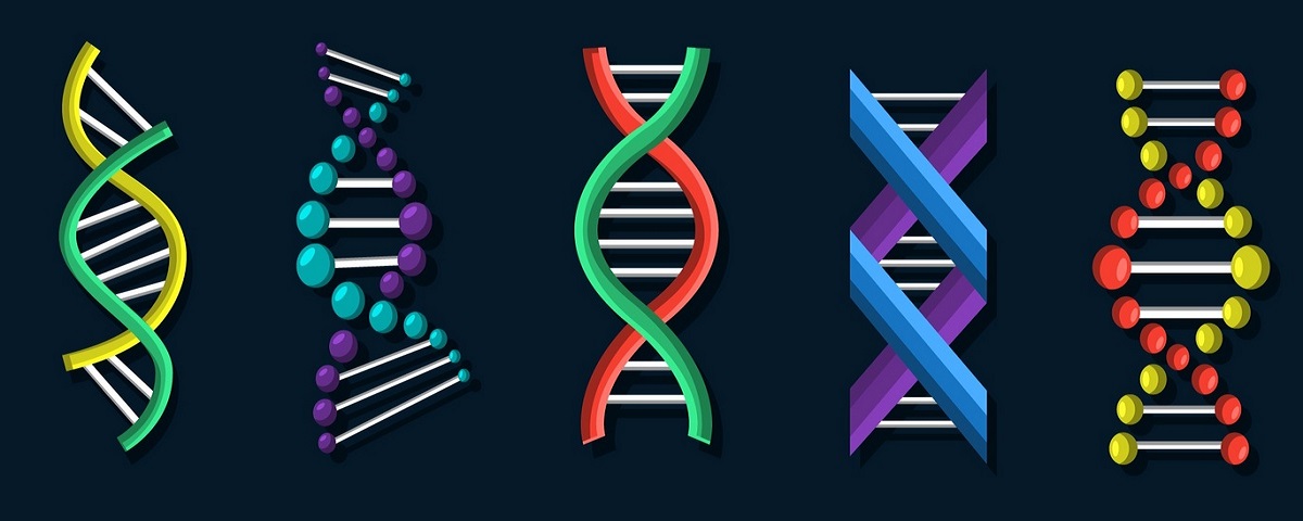 Ciência muda nome de genes por causa do Microsoft Excel
