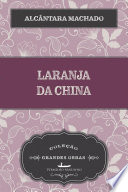 Logo Laranja da China Ícone Logo Laranja da China Ícone