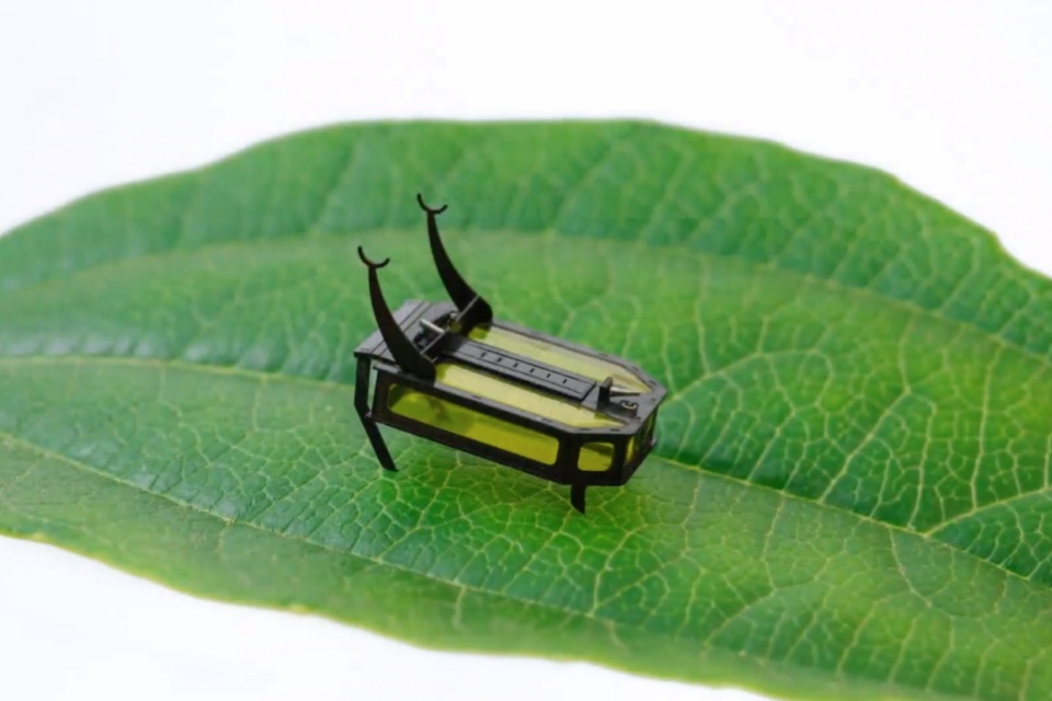 Pesquisadores criam inseto-robô movido a álcool e minúsculo