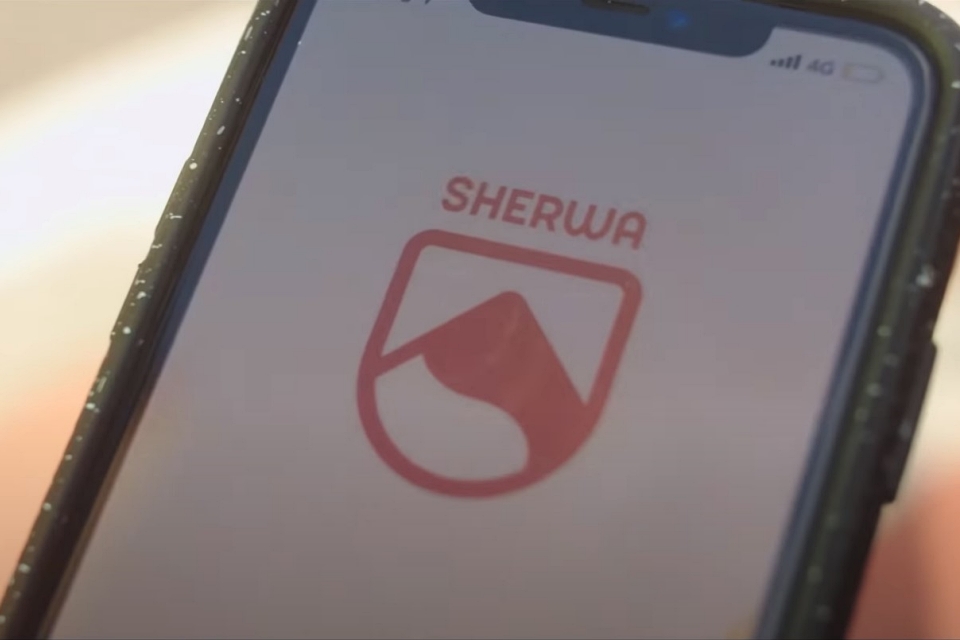 Conheça Sherwa, o app para jogadores e treinadores de games online