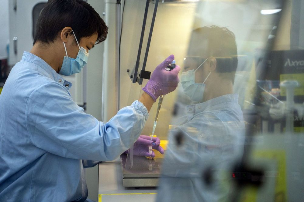 Um técnico de laboratório processa testes de covid-19 em Hong Kong.