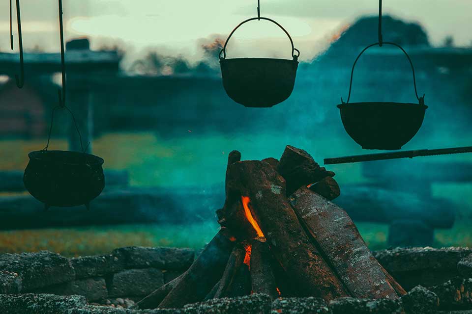 As plantas produziam uma substância alucinógena. (Fonte: Pexels)