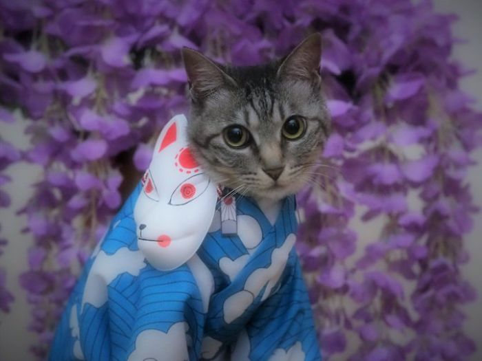 Fonte: @YagyouNEKO (Reprodução / Twitter)