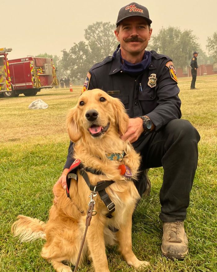 E ela parece amar seu trabalho! (Fonte: @kerith_the_golden_retriever/Instagram)