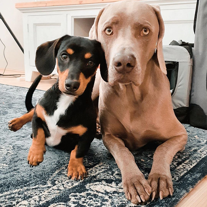 @arnoldandfrank/Instragram