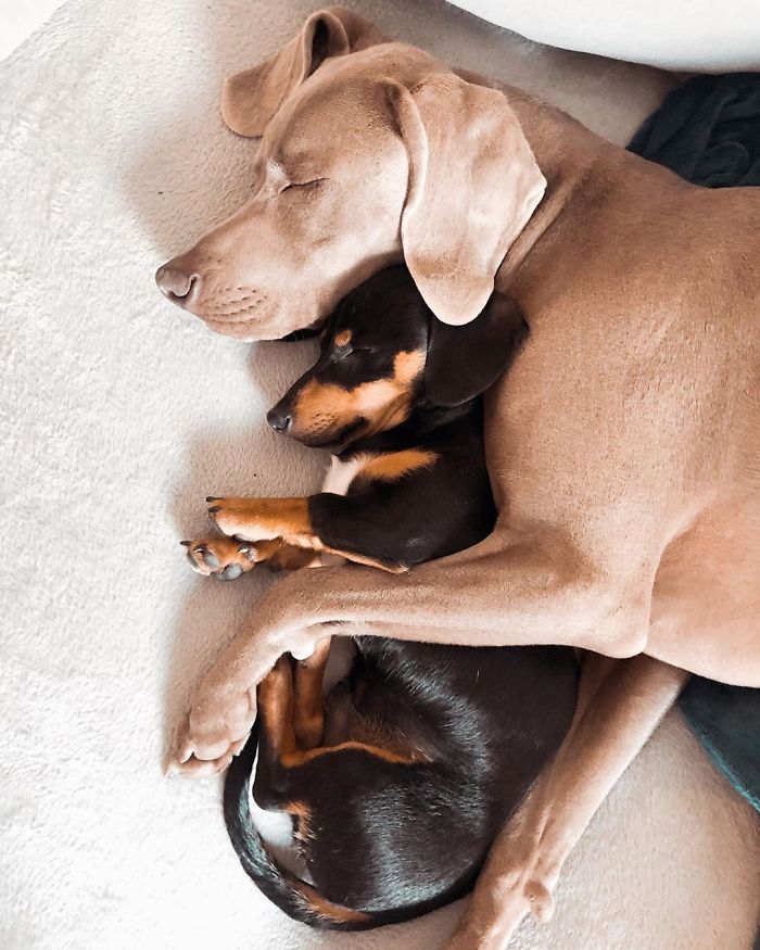 @arnoldandfrank/Instragram
