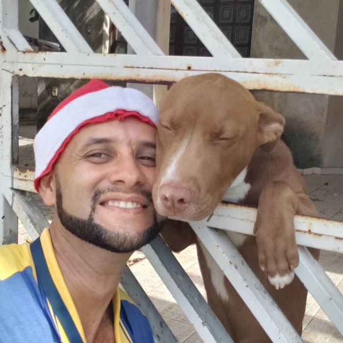 (Fonte: Carteiroamigodosanimais/Instagram)