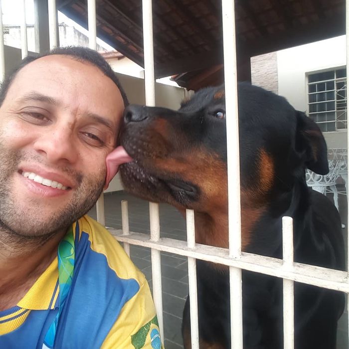(Fonte: Carteiroamigodosanimais/Instagram)