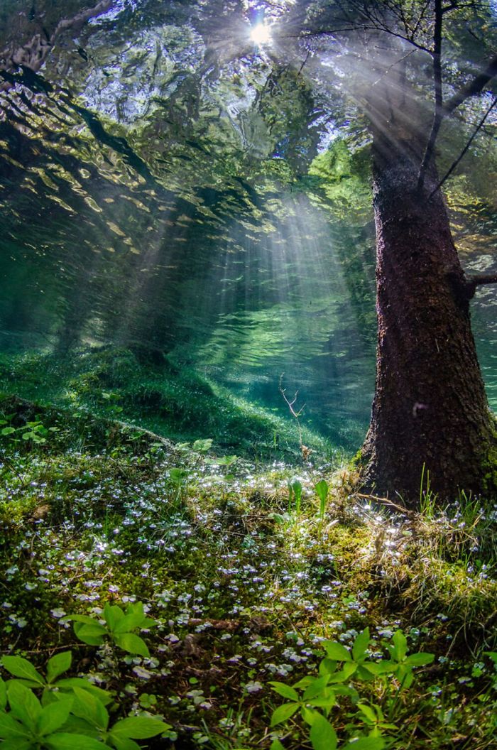 Fonte: Martin Strmiska / 2020 Through Your Lens Underwater Photo Contest