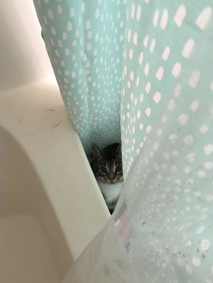 Fonte: waterfae (Reprodução / Reddit)
