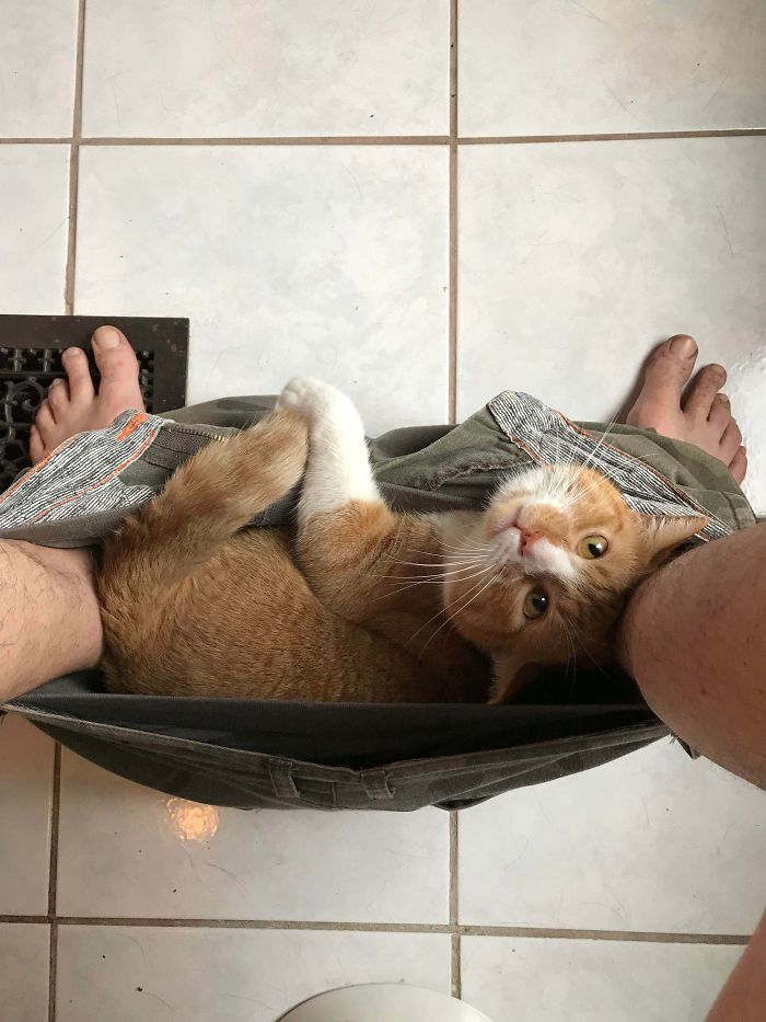 Fonte: Bannonpants (Reprodução / Reddit)