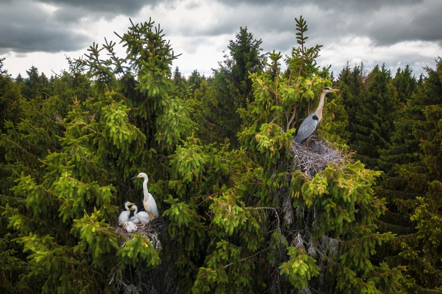 (Fonte: Joseph Cheires/Drone Photo Awards)