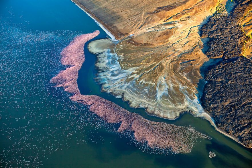 (Fonte: Martin Harvey/Drone Photo Awards)