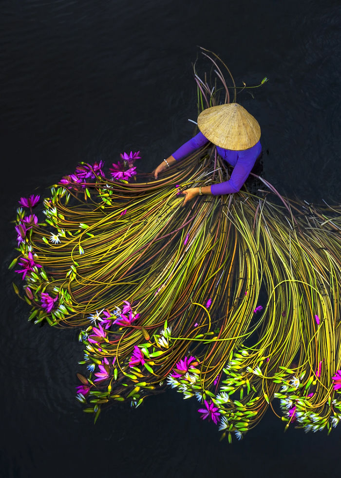 (Fonte: Trung Huy Pham/iPhotos)