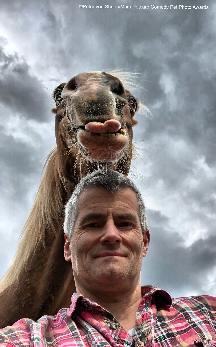 (Fonte: Peter von Shnen/Comedy Pet Photo Awards 2020)