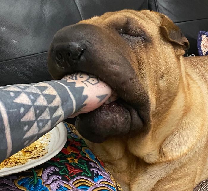(Fonte: Facebook - Jessica Rimmer/Reprodução)