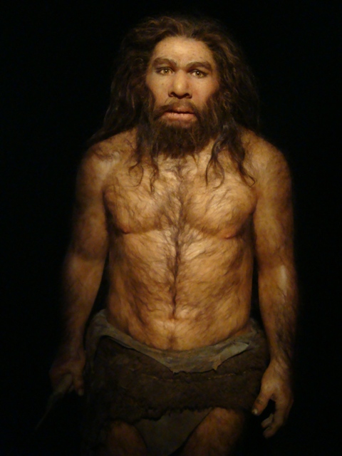 Os neandertais foram extintos há 28 mil anos. (Fonte: Fuzzyraptor/VisualHunt)