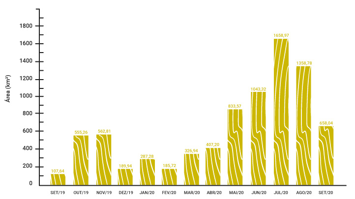 Gráfico 01