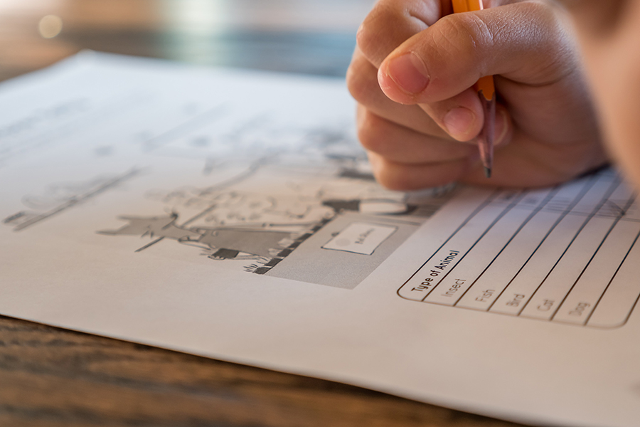 A atividade manual de escrever ativa a memória e o aprendizado. (Fonte: Pexels/Reprodução)