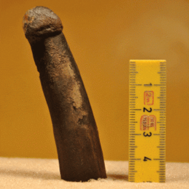 Dildo