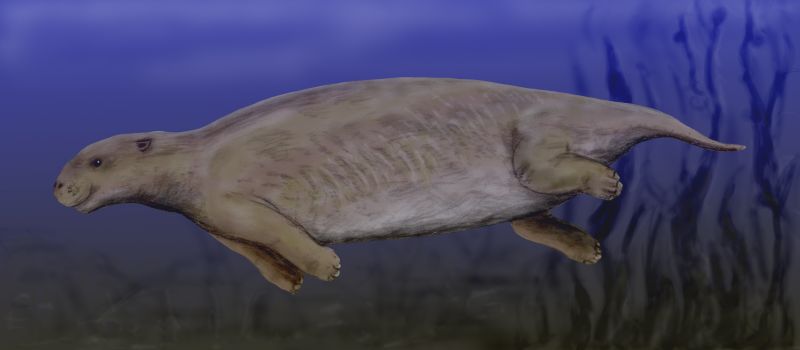 (Fonte: Wikimedia Commons)
