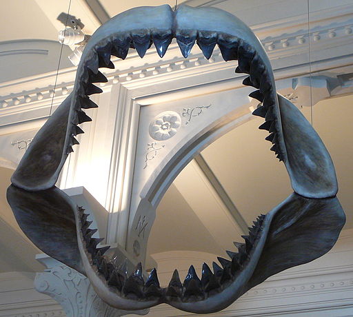 O animal não seria mais o mesmo se ainda vivesse atualmente. (Fonte: Wikimedia Commons)