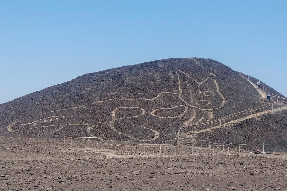 Figura de um gato é descoberta entre as Linhas de Nazca