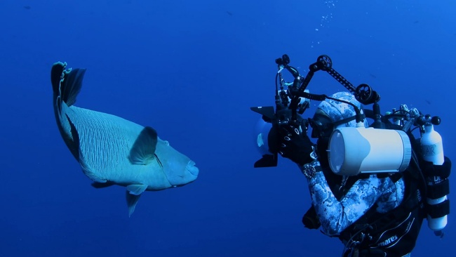 (Fonte: National Geographic/Divulgação)