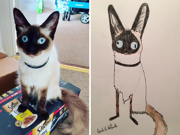 (Fonte: Pet Portraits By Hercules/Facebook)