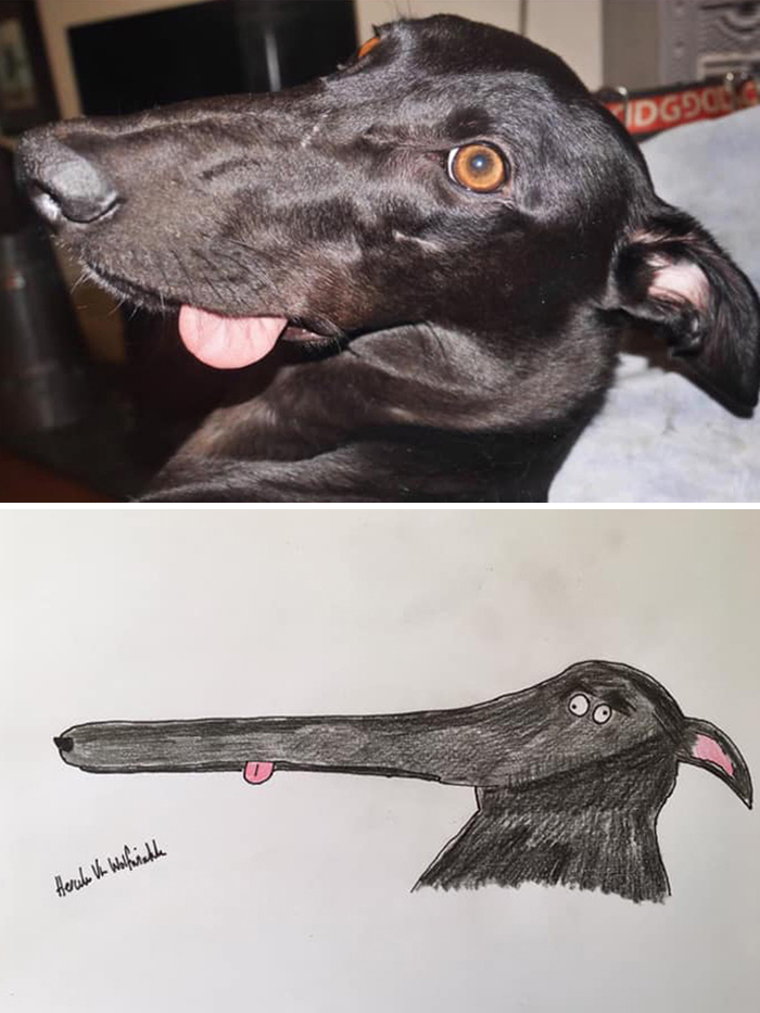 (Fonte: Pet Portraits By Hercules/Facebook)