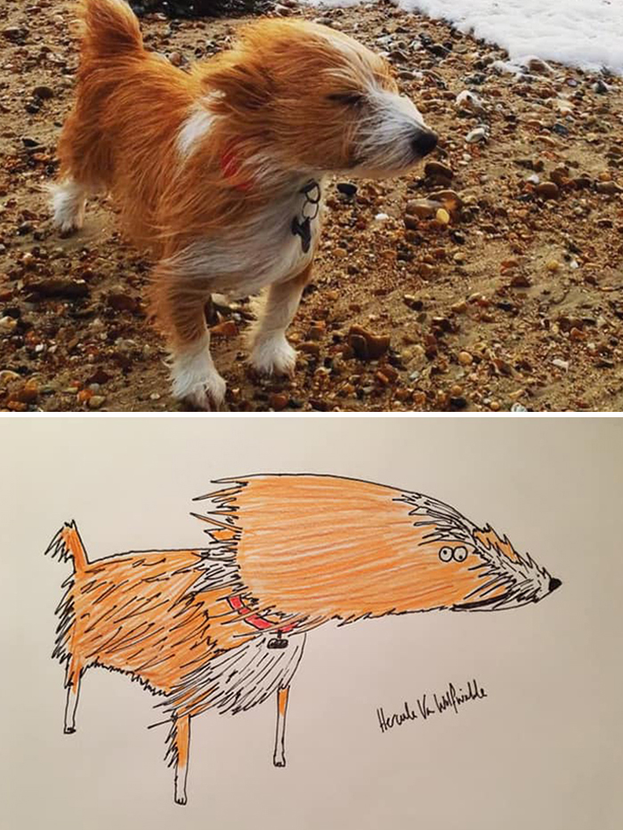 (Fonte: Pet Portraits By Hercules/Facebook)