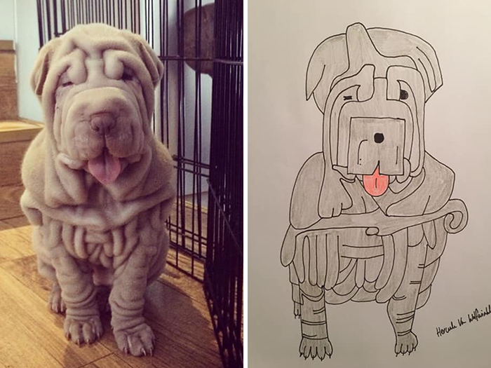 (Fonte: Pet Portraits By Hercules/Facebook)