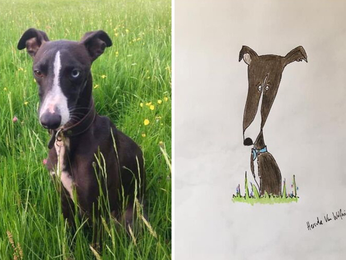 (Fonte: Pet Portraits By Hercules/Facebook)