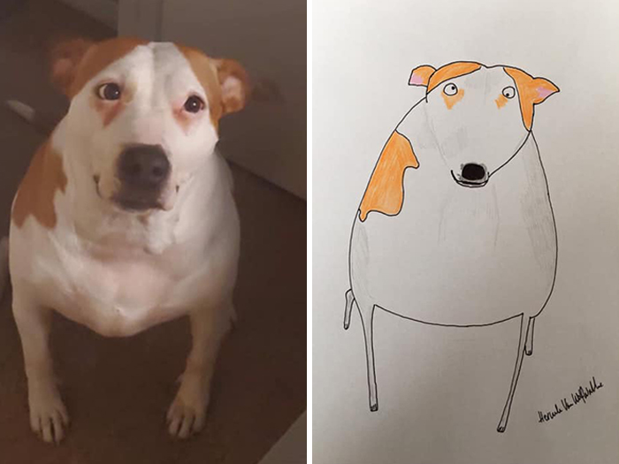 (Fonte: Pet Portraits By Hercules/Facebook)