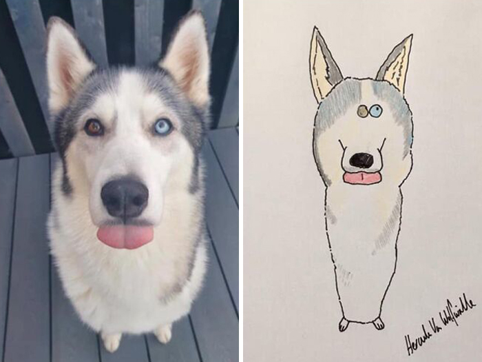 (Fonte: Pet Portraits By Hercules/Facebook)