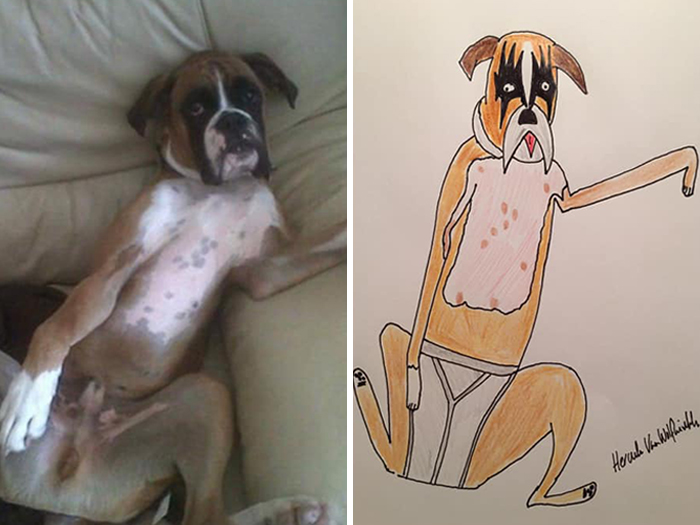 (Fonte: Pet Portraits By Hercules/Facebook)