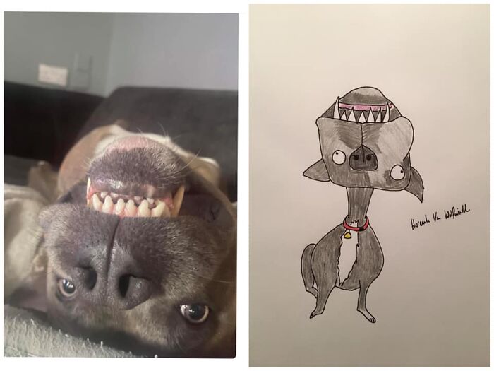 (Fonte: Pet Portraits By Hercules/Facebook)