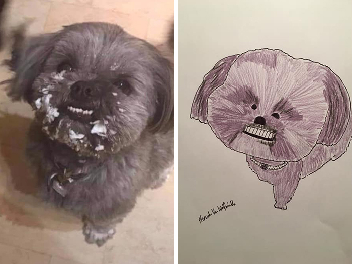 (Fonte: Pet Portraits By Hercules/Facebook)