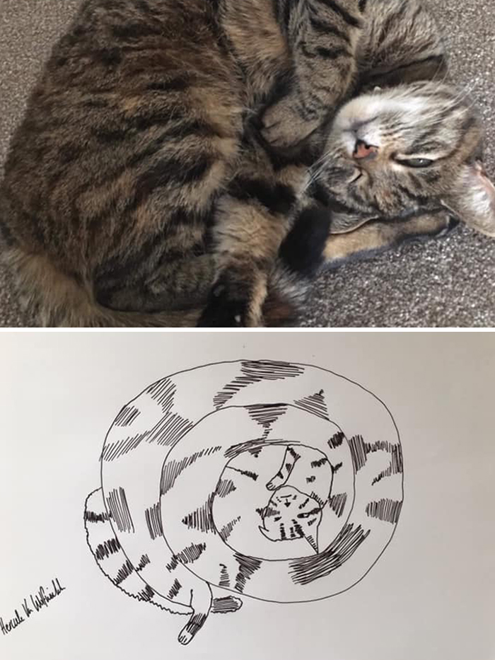 (Fonte: Pet Portraits By Hercules/Facebook)