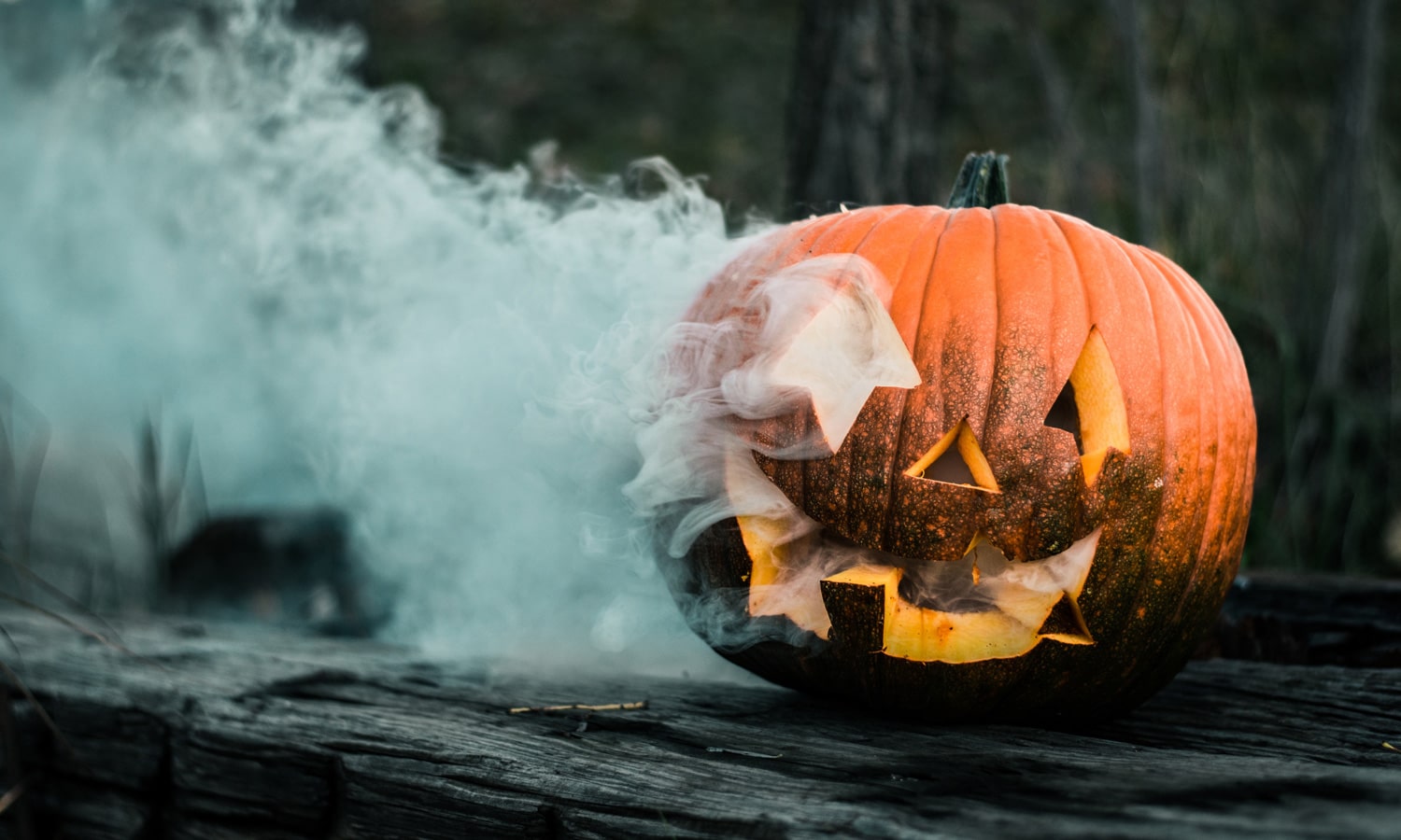 Halloween: 20 comandos da Alexa para o Dia das Bruxas