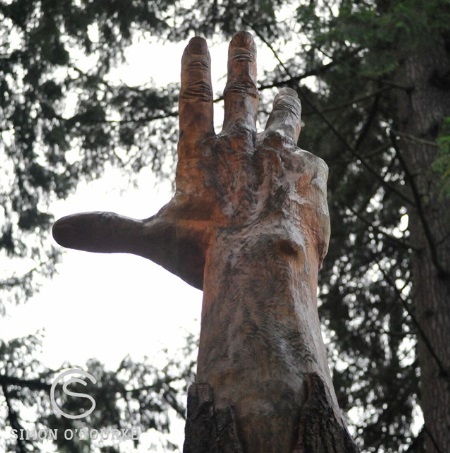 A escultura virou um ponto turístico novo em uma região de preservação.