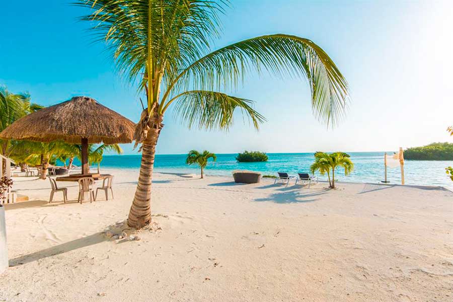 Fonte: Vladi Private Islands/Reprodução