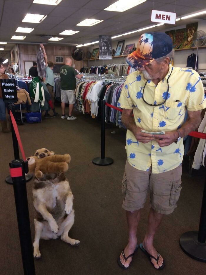 (Fonte: Moose930/Reddit)