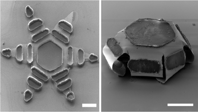 Theragripper aberto e fechado. (Fonte: Universidade Johns Hopkins/Divulgação)