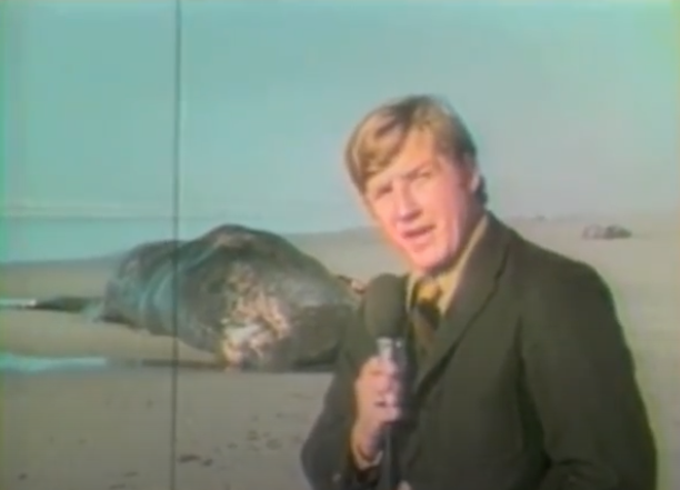 (Fonte: The Exploding Whale)