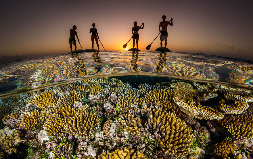 (Fonte: Grant Thomas/The Ocean Photography Awards)