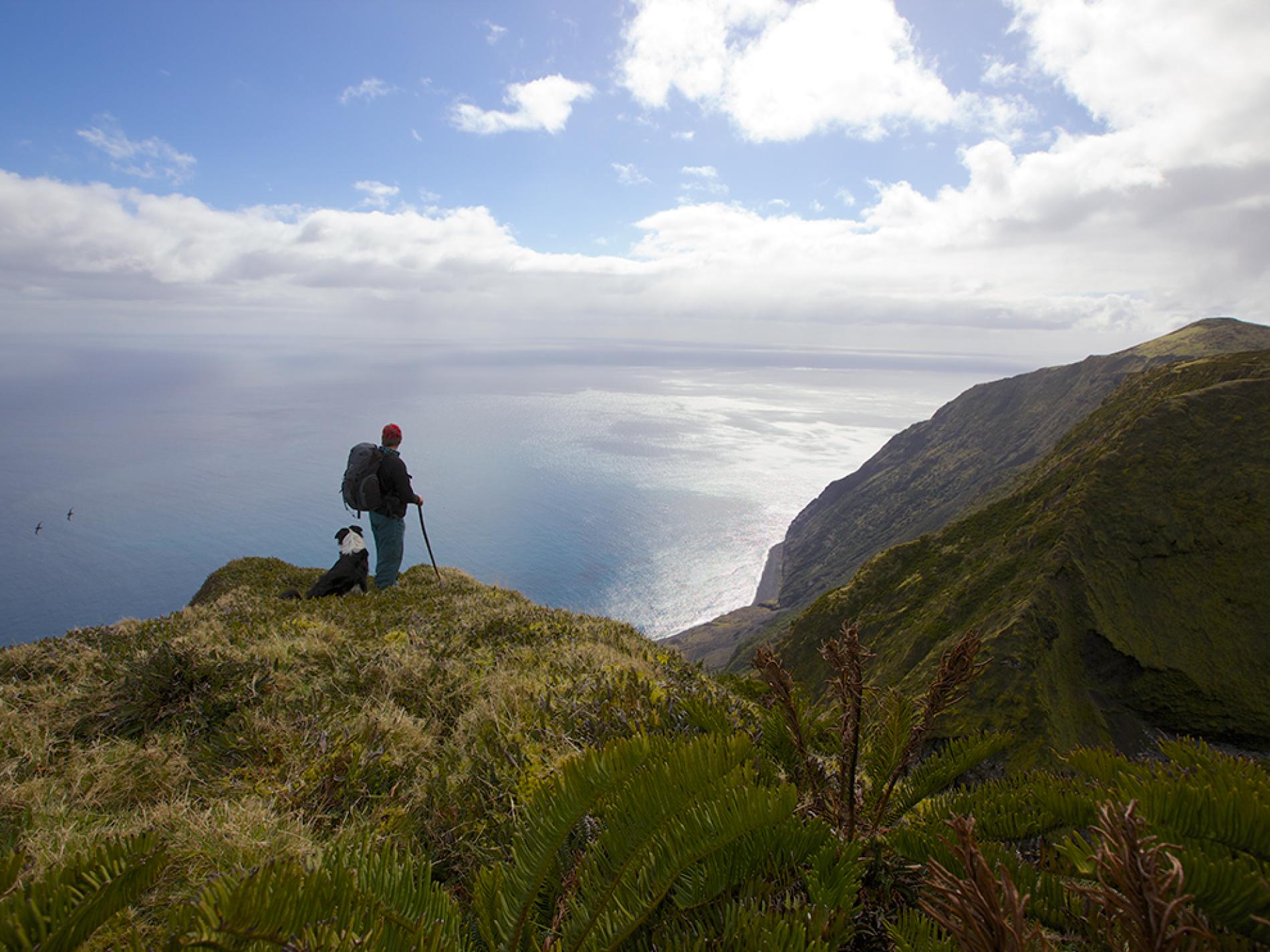 (Fonte: Andy Isaacson/National Geographic)