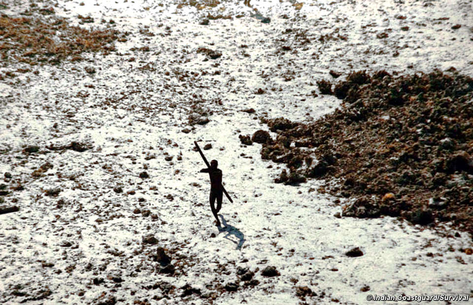 (Fonte: Survivor International/Reprodução)