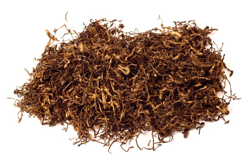 O cheiro do tabaco permeia a Europa desde o século 16